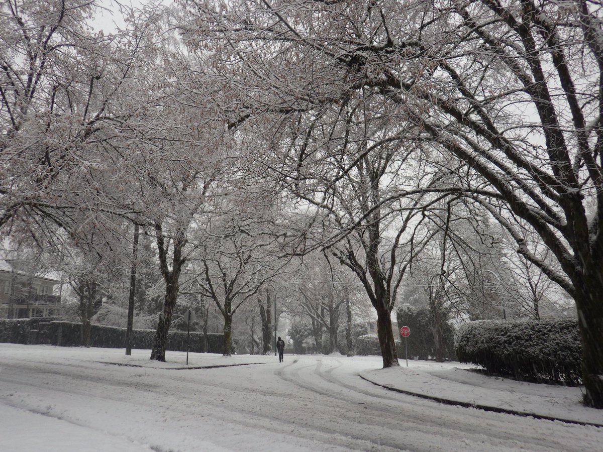 zucchinibeemama's tweet photo. Welp, I'm snowed in at the studio and can't get home because the buses aren't making it up the hill. Guess I'll be camping with the racoons tonight! #yvrweather https://t.co/yghVRKU890