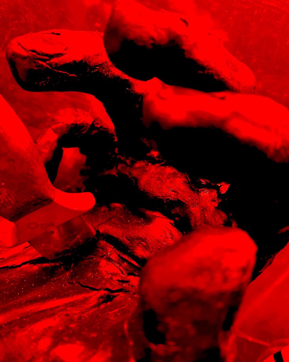 kippoart's tweet photo. Red handed https://t.co/lrzQdGQB0b