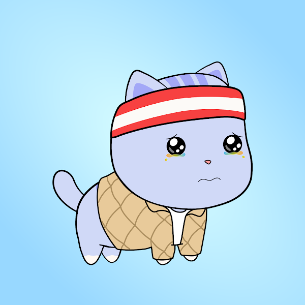 Chubbiverse tweet media