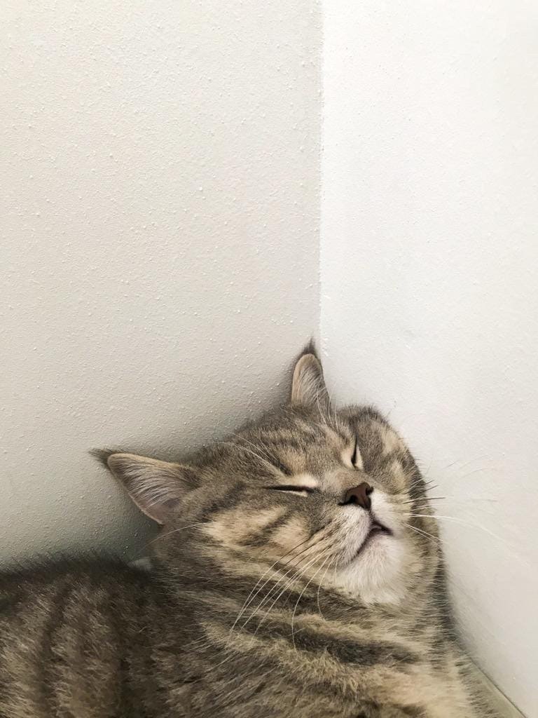 This is how I feel right now.