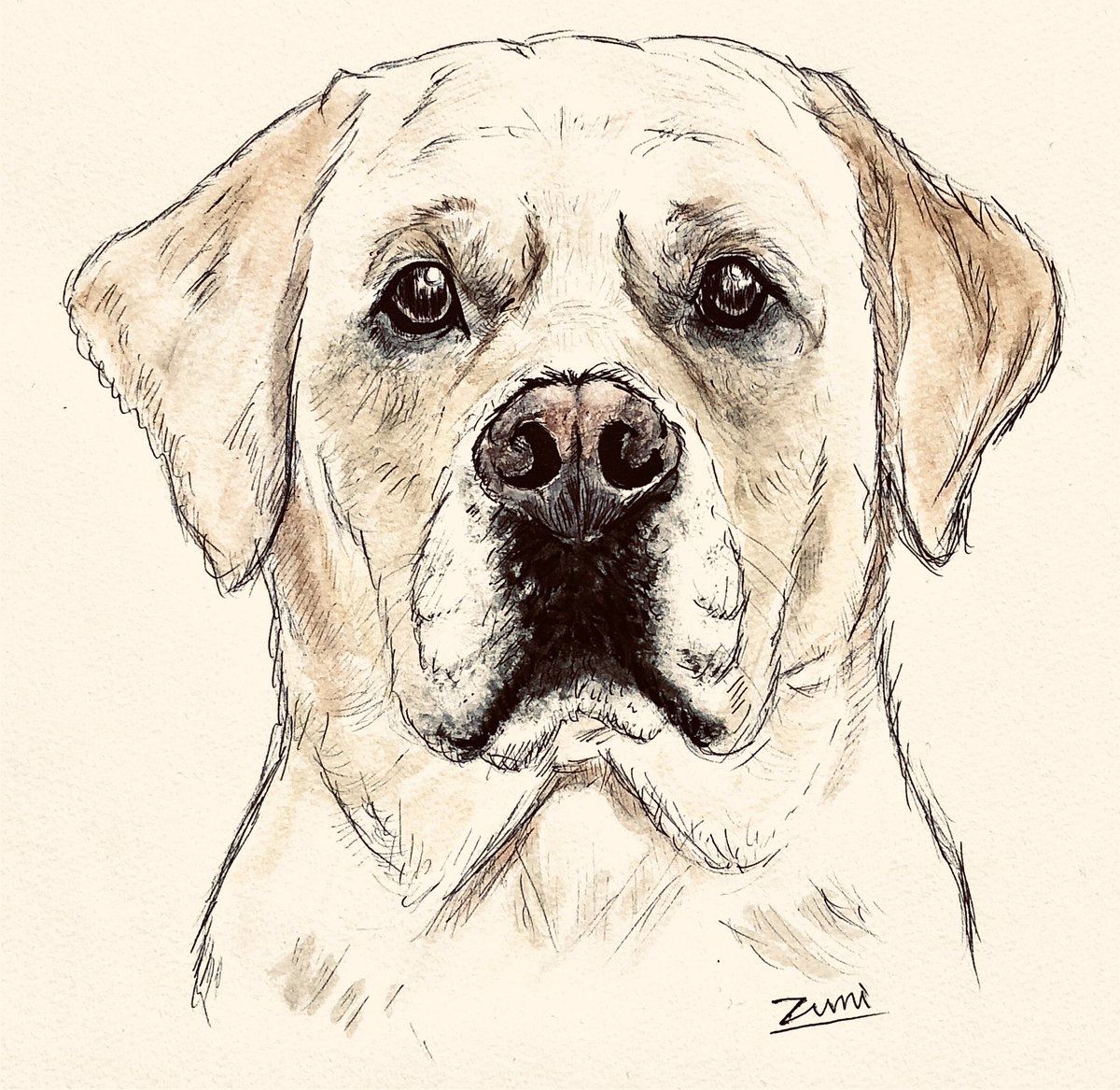 正規販売店 ラブラドールレトリバー2のイラスト入りカラーアクリル印鑑 Sp 日本最大級のハンドメイド 手作り通販サイト 12mm b 新商品が毎日入荷 Inspektorat Madiunkota Go Id 正規販売店 ラブラドールレトリバー2のイラスト入りカラーアクリル印鑑 Sp 日本最大級のハンドメイド 手作り通販サイト 12mm b 新商品が毎日入荷 Inspektorat Madiunkota Go Id