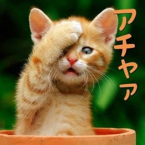papi2014_tom's tweet photo. 感染者少ない間にライブ行きたかったのに申し込んでも申し込んでもチケット用意されないし、気付けば感染者増えててまた行かれないという��獄 https://t.co/GrJ2s2gizq