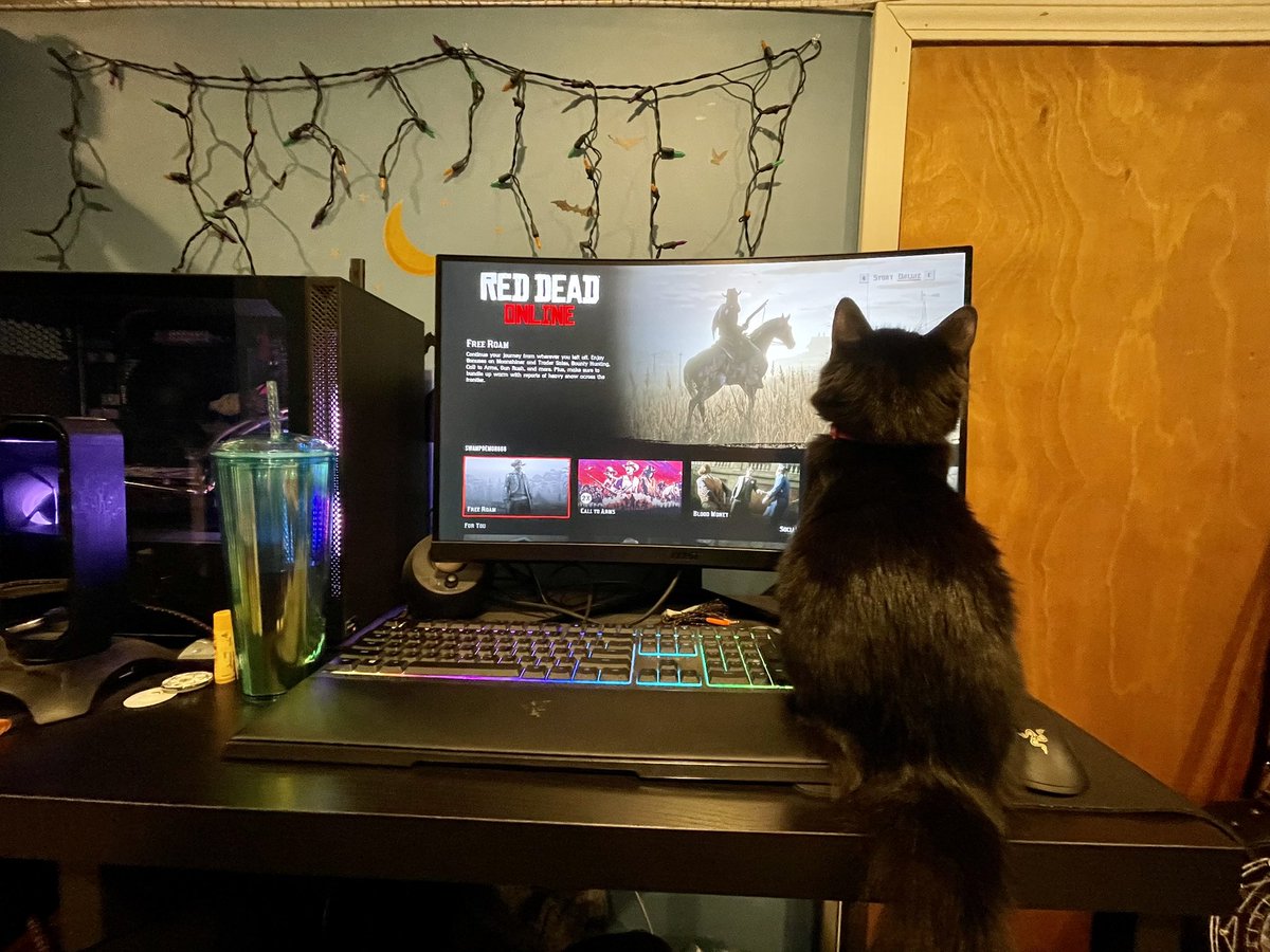 vrchick32's tweet photo. @RockstarGames Bones wants a sponsorship, or at least a tiny cowboy hat.. This is his favorite game!🤠 #RDR2 #RedDeadOnline https://t.co/wEdHJFVvto