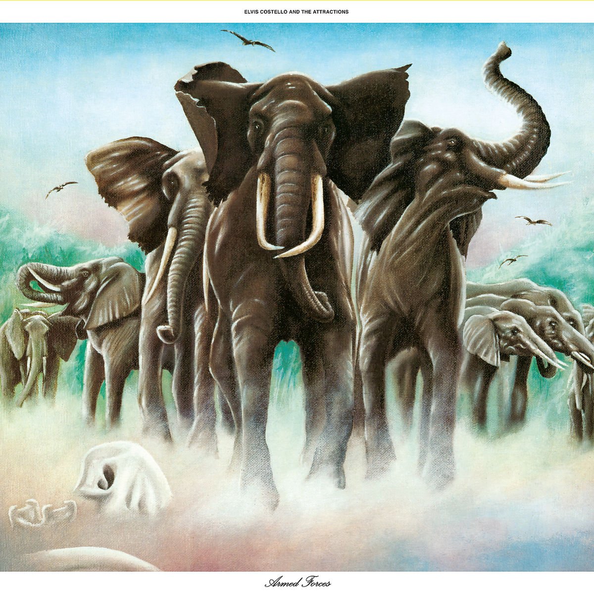 Elvis Costello tweet media