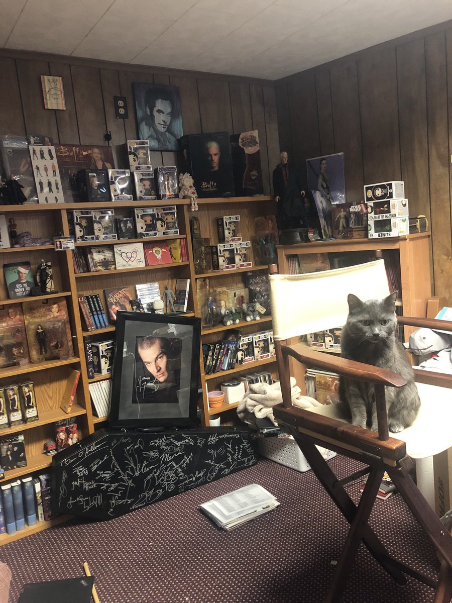 NicholasBrendon's tweet photo. T’s cat Turquoise Aloysius Urple has now become a diva after his premiere on Facebook live. He wants to get Executive Producer credit and is demanding his own trailer!

#LifeGoals #CatsOfTwitter #Diva #SpoiledCat https://t.co/cPYBaecQsk