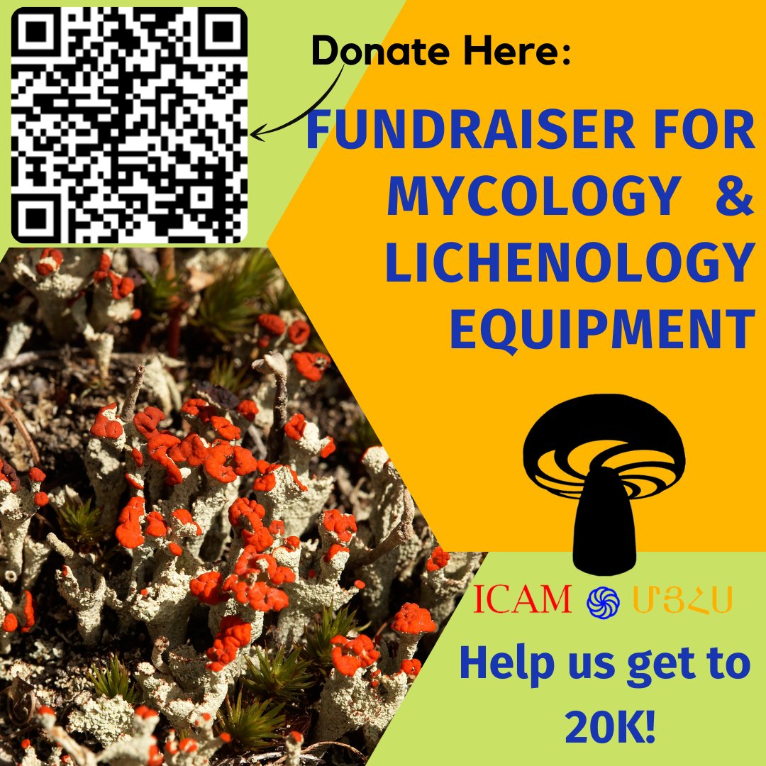 IC_ArmenianMyco's tweet photo. Happy holidays mycofam! We know the season just ended for the rest of you but Armenian holidays are just starting up!! International Congress of Armenian Mycologists 🍄 (ICAM) 🍄 is gearing up for their first ever fundraiser!  
https://t.co/PSVxxKkybR https://t.co/0fg8bRxIjs