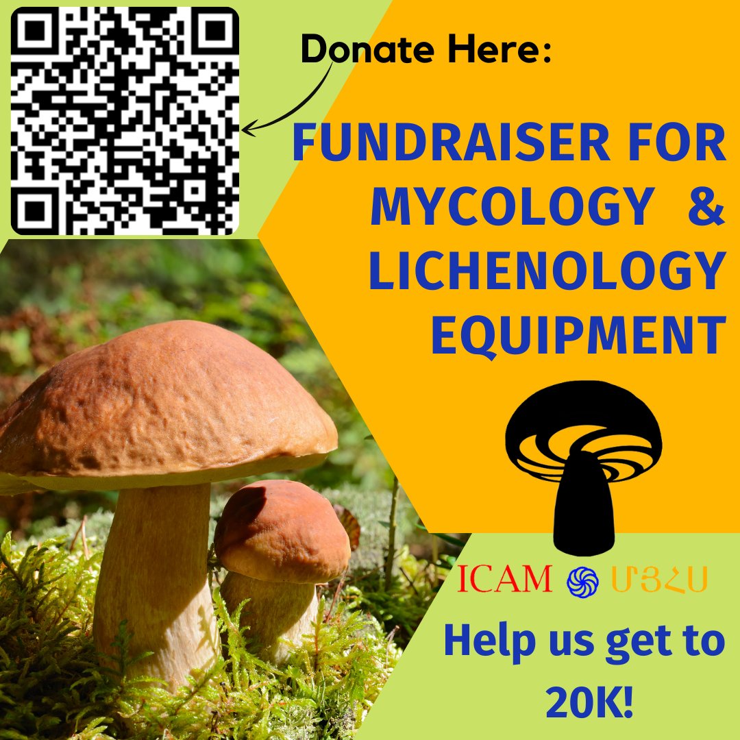IC_ArmenianMyco's tweet photo. Happy holidays mycofam! We know the season just ended for the rest of you but Armenian holidays are just starting up!! International Congress of Armenian Mycologists 🍄 (ICAM) 🍄 is gearing up for their first ever fundraiser!  
https://t.co/PSVxxKkybR https://t.co/0fg8bRxIjs
