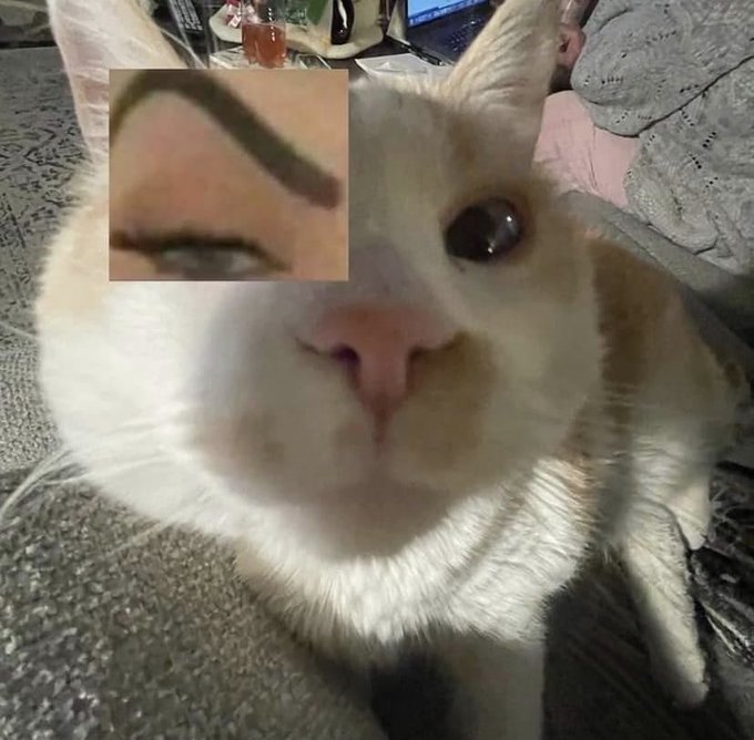 Watch sminky's leaked NSFW photo on TwXstars