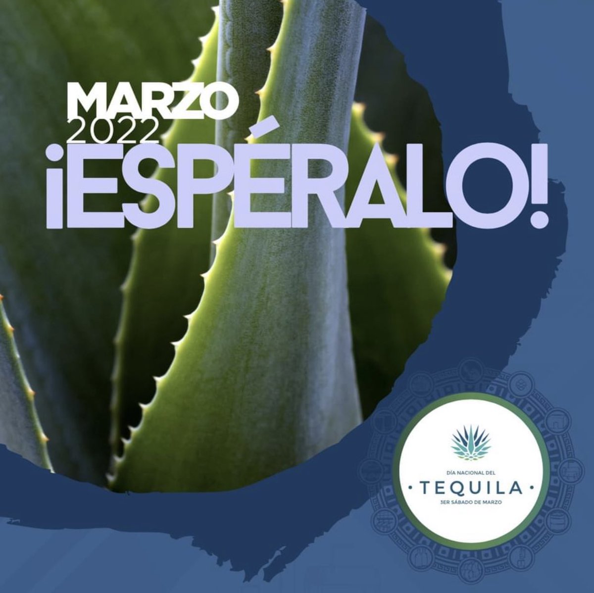 camaratequilera's tweet photo. El tercer sábado de marzo celebraremos en México el Día Nacional del Tequila por tercer año consecutivo ¡espéralo! https://t.co/HVE9FdXuLE