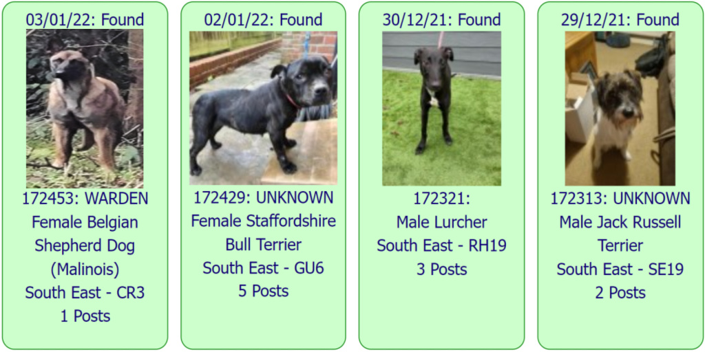 #FOUND #DOGS * SOUTH EAST * January 3rd 2022~December 29th 2021

These #FoundDogs are on the <a href="/DogLostUK/">DogLost</a> site as being FOUND in our #SouthEast Area

If you see your dog below go to doglost.co.uk &amp; put the ID NUMBER (shown under photo) into search menu for more details