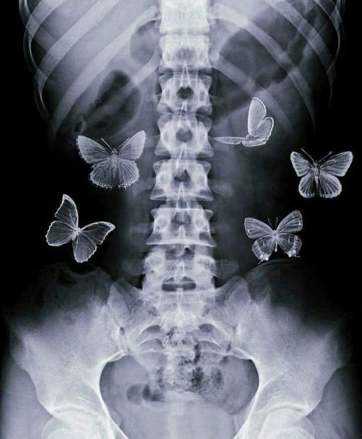♡ 𓃴ɕĨɡɹ̈᪂І͛ ‏ tweet media