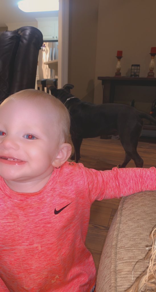 HaleyRogers3's tweet photo. Just here to post pictures of Amelia 😊 https://t.co/O9Zq50Kdal