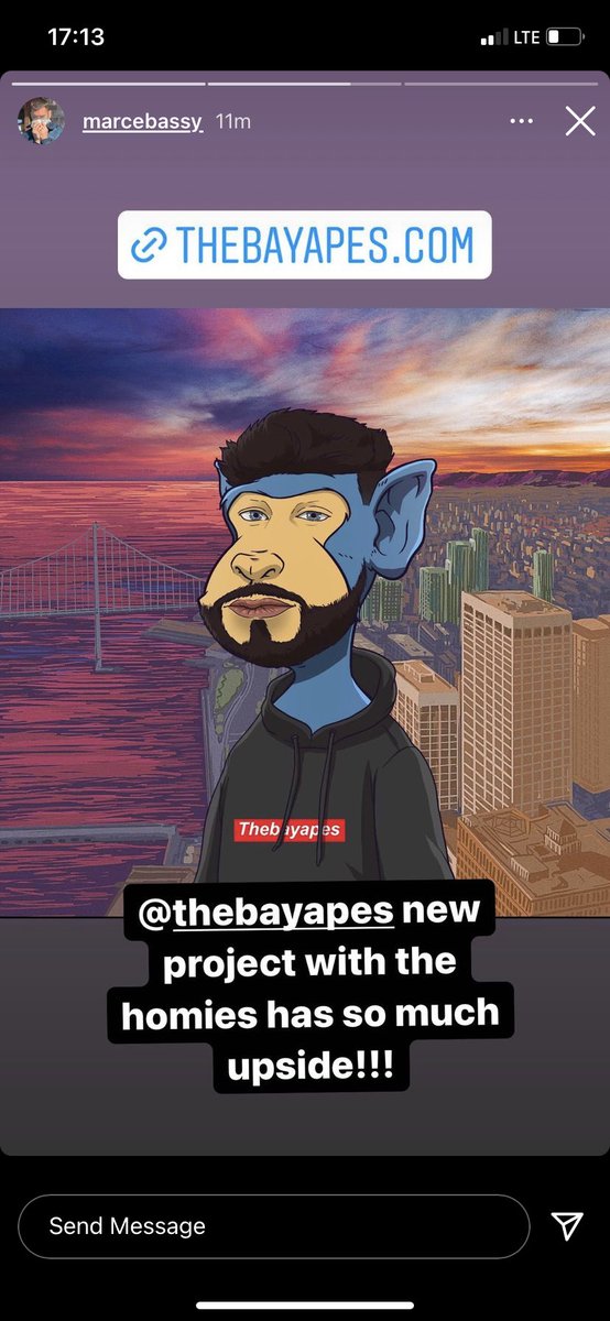 The Bay Apes tweet media