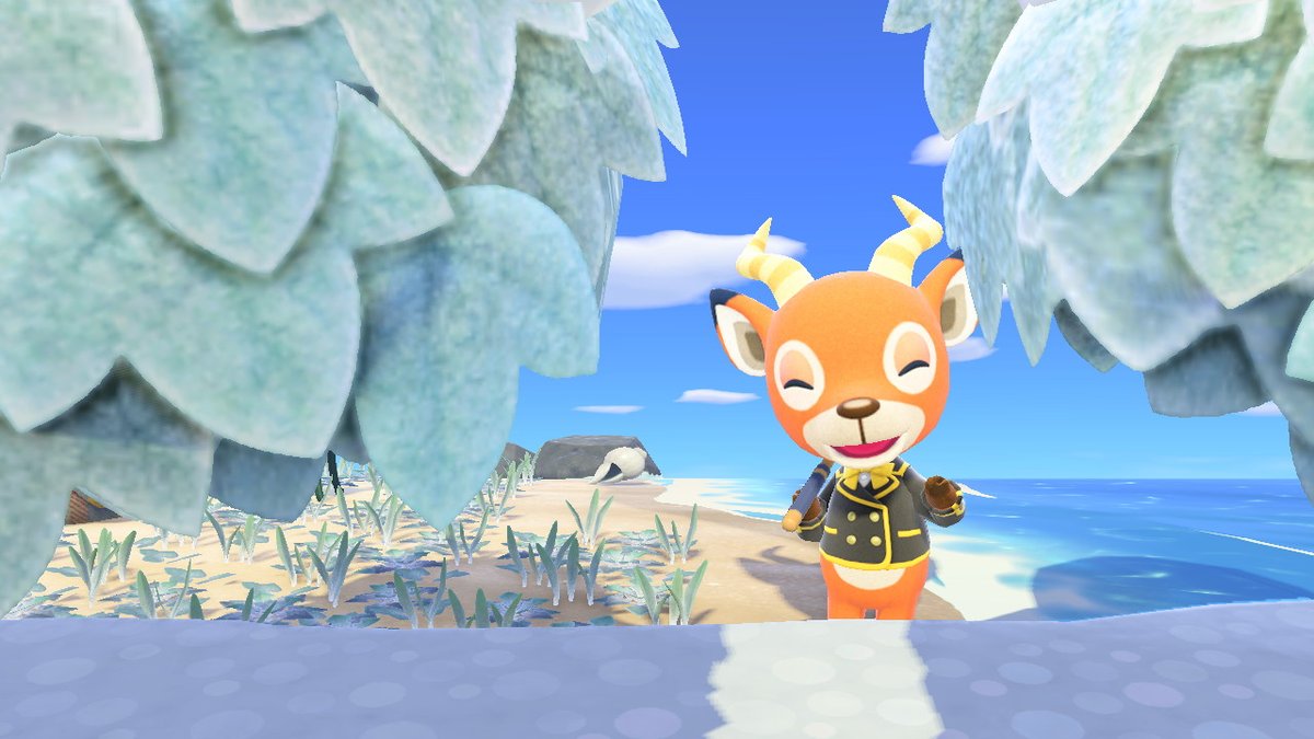 Alfric12's tweet photo. #AnimalCrossing #ACNH #NintendoSwitch I LOVE HIM https://t.co/KYxcfbBrE4