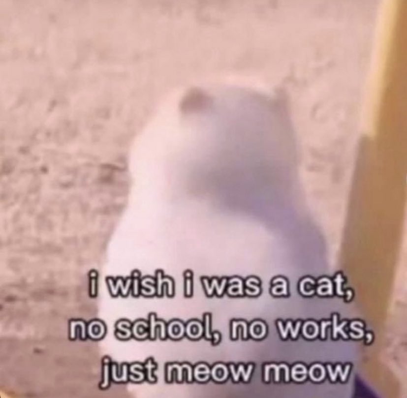 เราบ้ายบายทุกคนน้า เราขอหยุดน้องเบอลิน แตมอนไว้เท่านี้ เนื่องจากเราอาจจะย้ายแอค เหงาอะ แต่บ้ายบาย ทักมาขอไลน์ได้🤩👌🏻