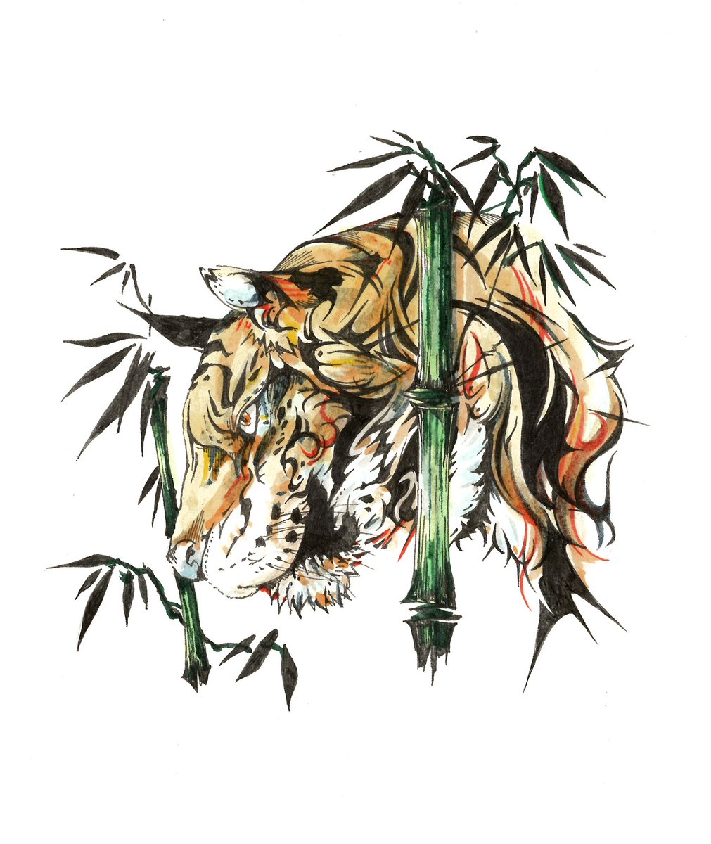 bamboo no humans traditional media tiger white background simple background animal focus  illustration images