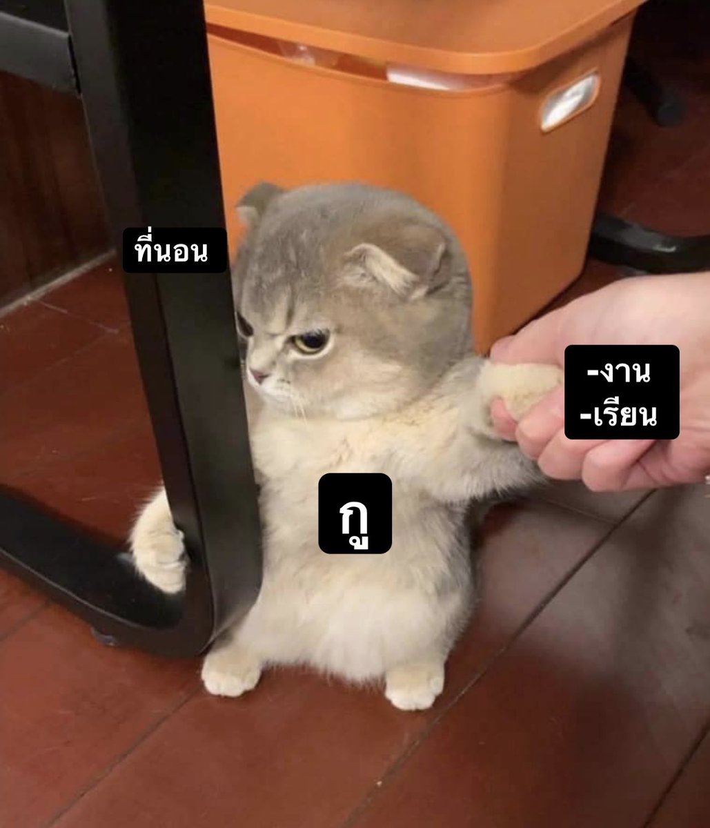 sfkkfs_'s tweet image. สภาพกุในตอนนี้