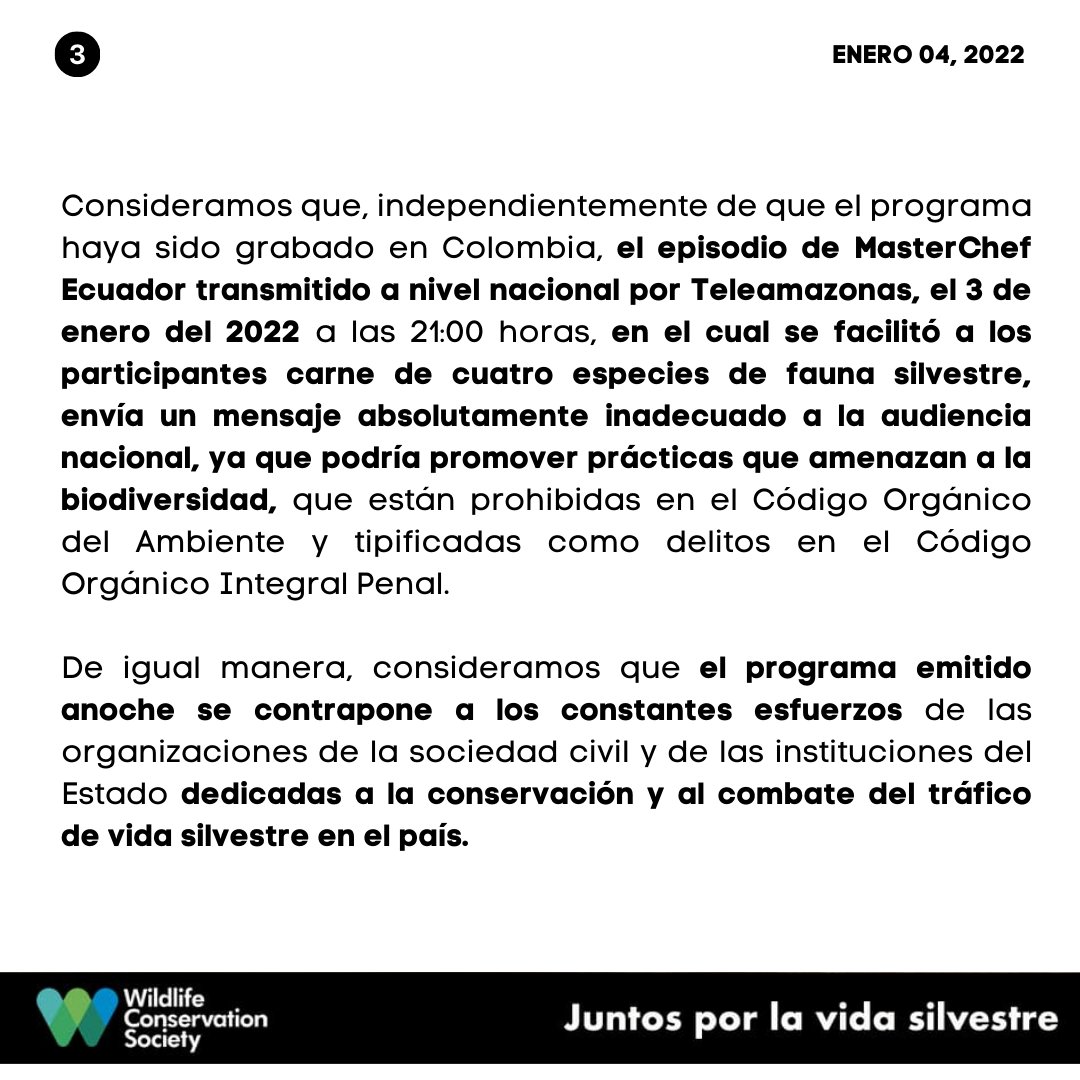 WCS Ecuador 💚💙 tweet media