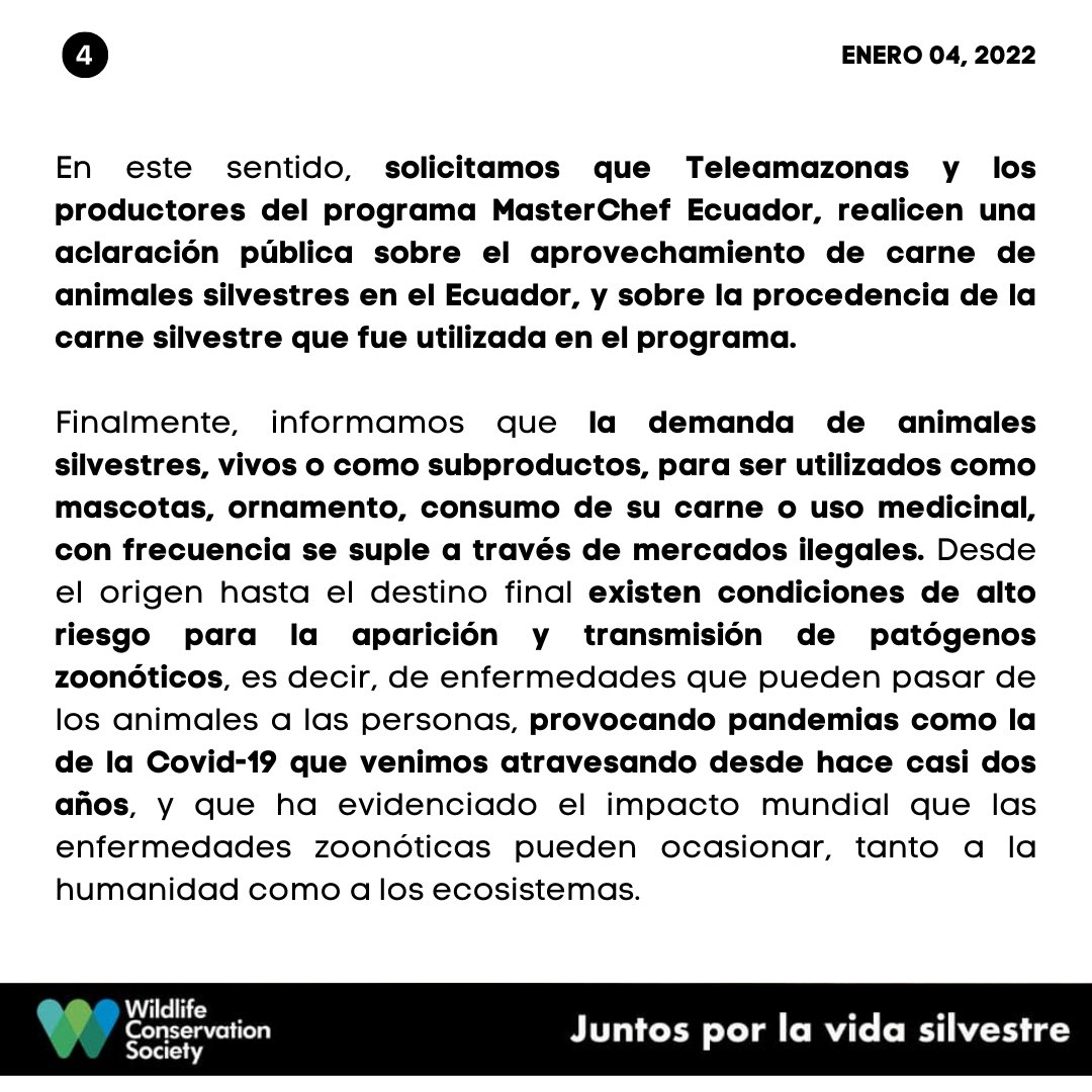#Comunicado 🇪🇨 | La siguiente declaración es publicada por #WildlifeConservationSociety - Programa #Ecuador frente al uso y consumo de carne de #FaunaSilvestre en el programa televisivo #MasterChefEcuador transmitido por <a href="/teleamazonasec/">Teleamazonas</a> 
🖐 #JuntosPorLaVidaSilvestre 💚💙
