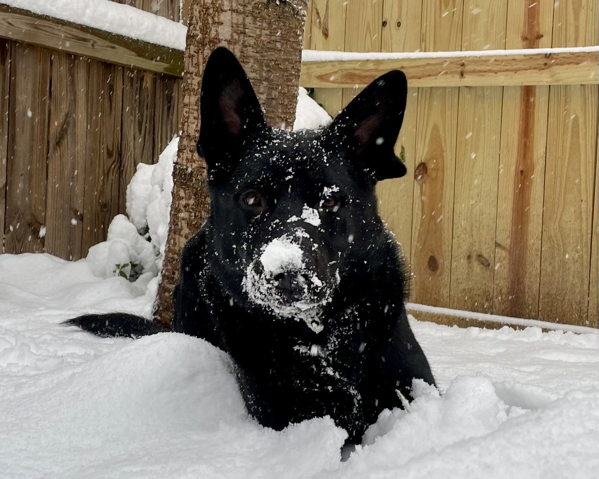 Beth Pontius, MD tweet media