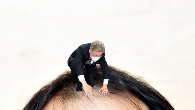 저짝 아그들 이러고 있네 
재명이를 심는다네 
심지말고 걍 묻으면 어떻겠냐?? 거름돼서 더 많이 날꺼 아니냐 ??