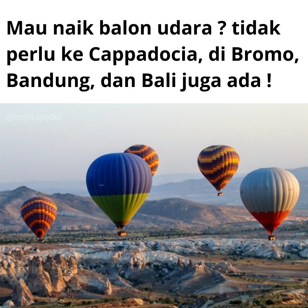 Montapedia tweet media