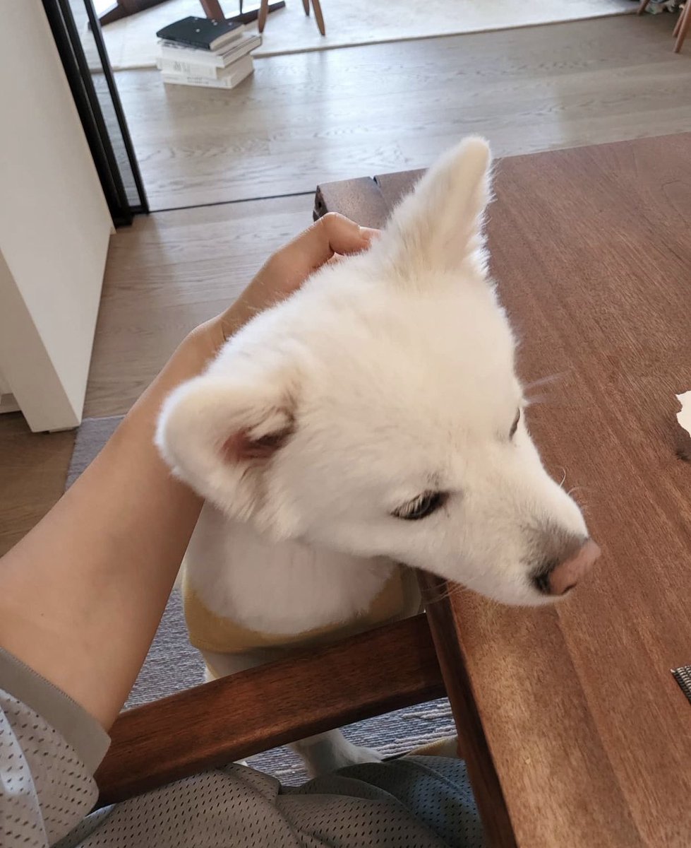 rmarchives's tweet photo. MONI😭😭😭🥲🥲🥲🥲 https://t.co/5eJK0gzg5J