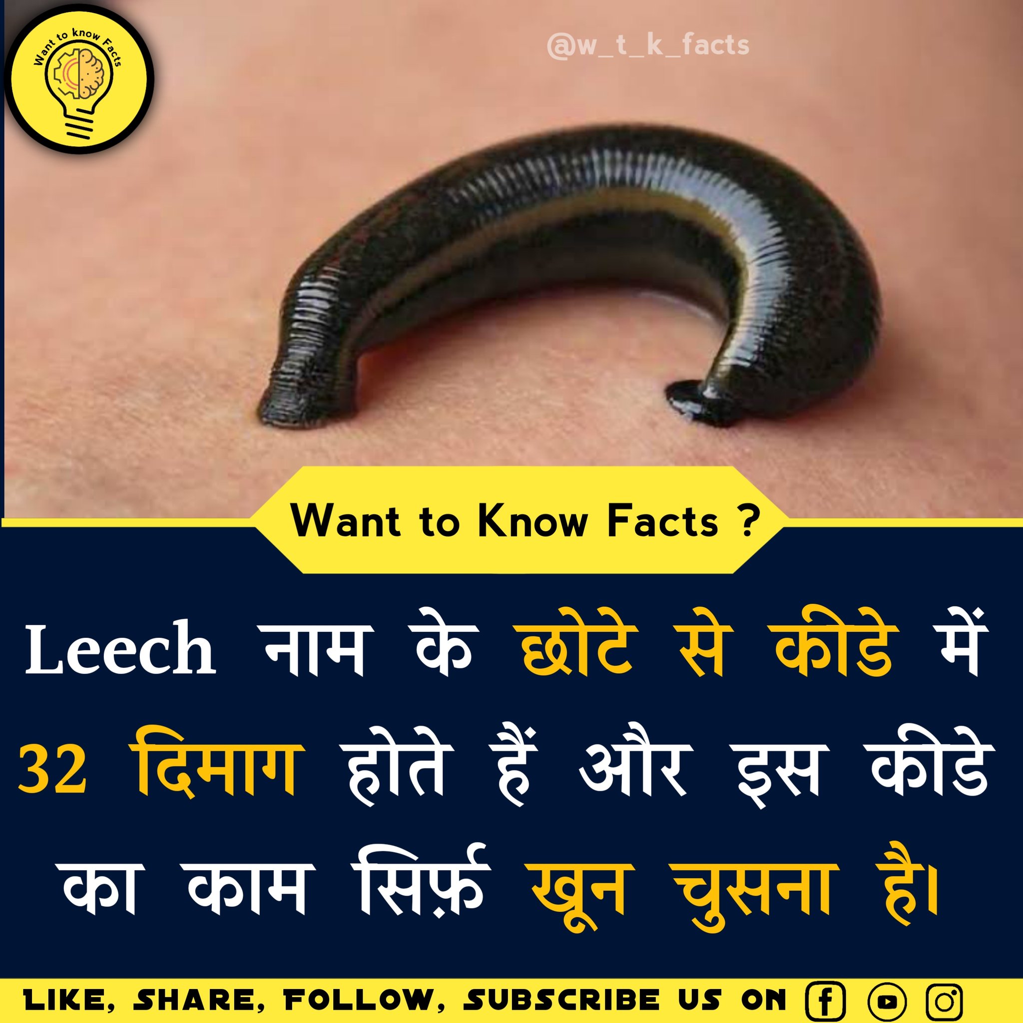 Want to Know Facts on Twitter: Want to Know Facts on Twitter: