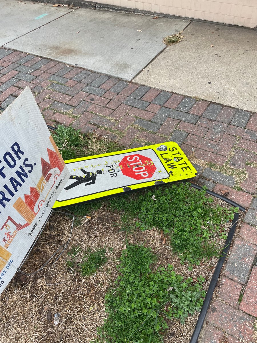 Doll Baby superfan tweet media