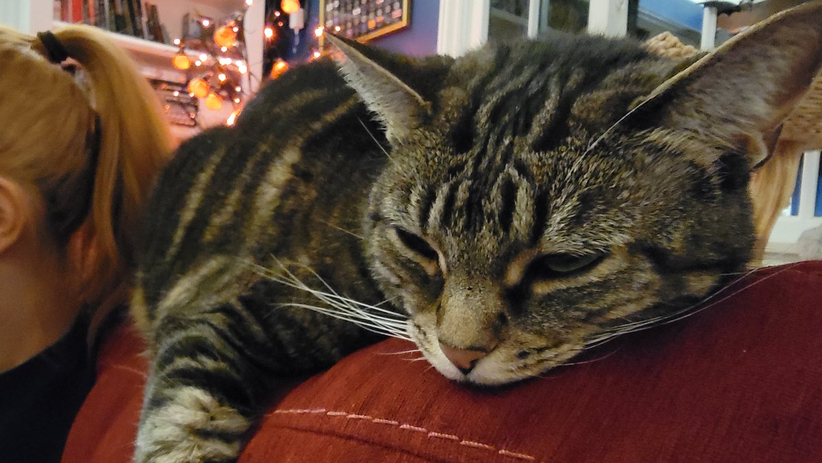 James A. Janisse tweet media