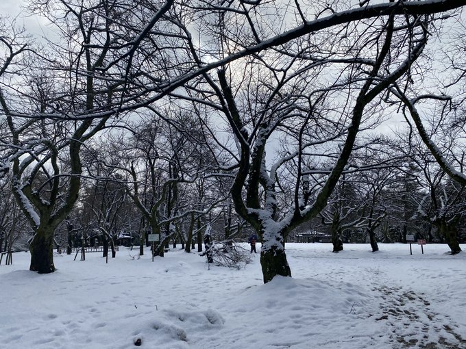 今日は重り15kgと2km
足りないので家帰ってからもうちょっと歩く 