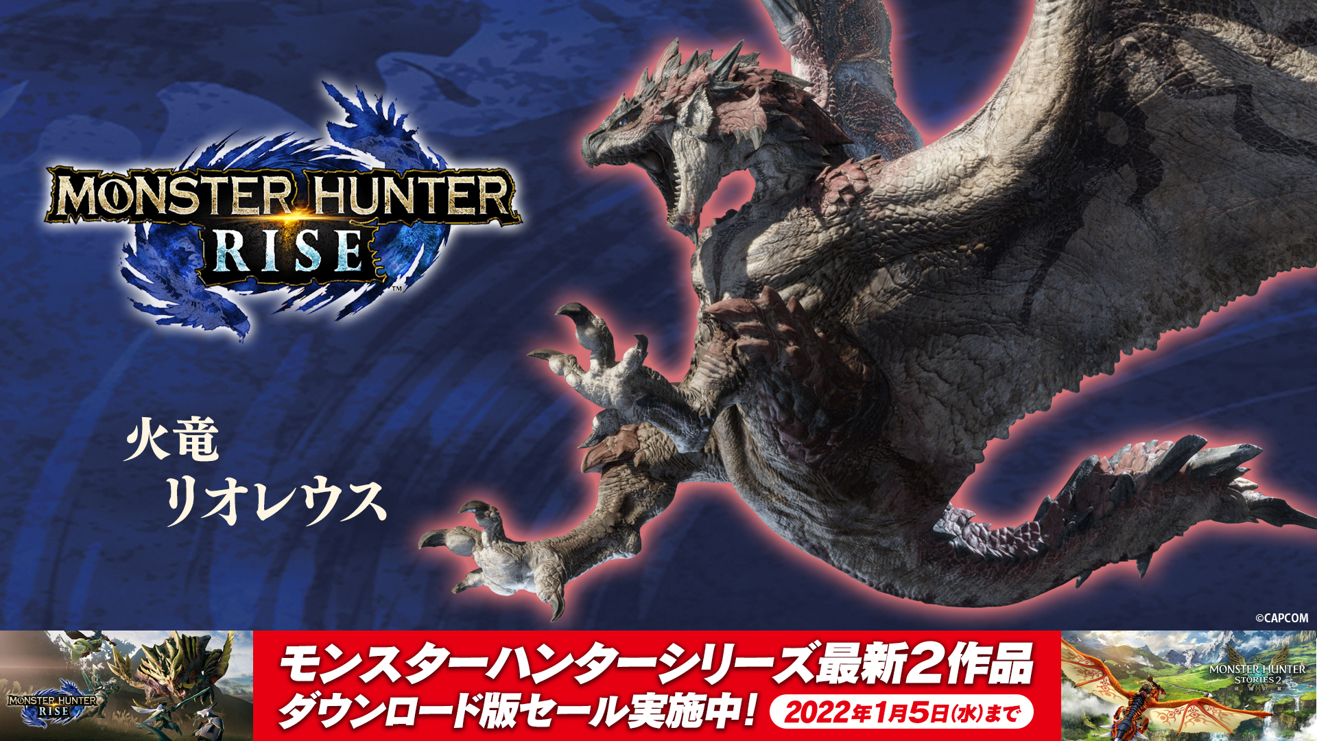 火竜の鋭翼爪 ライズ, サンブレイク 火竜の翼 – EOHB