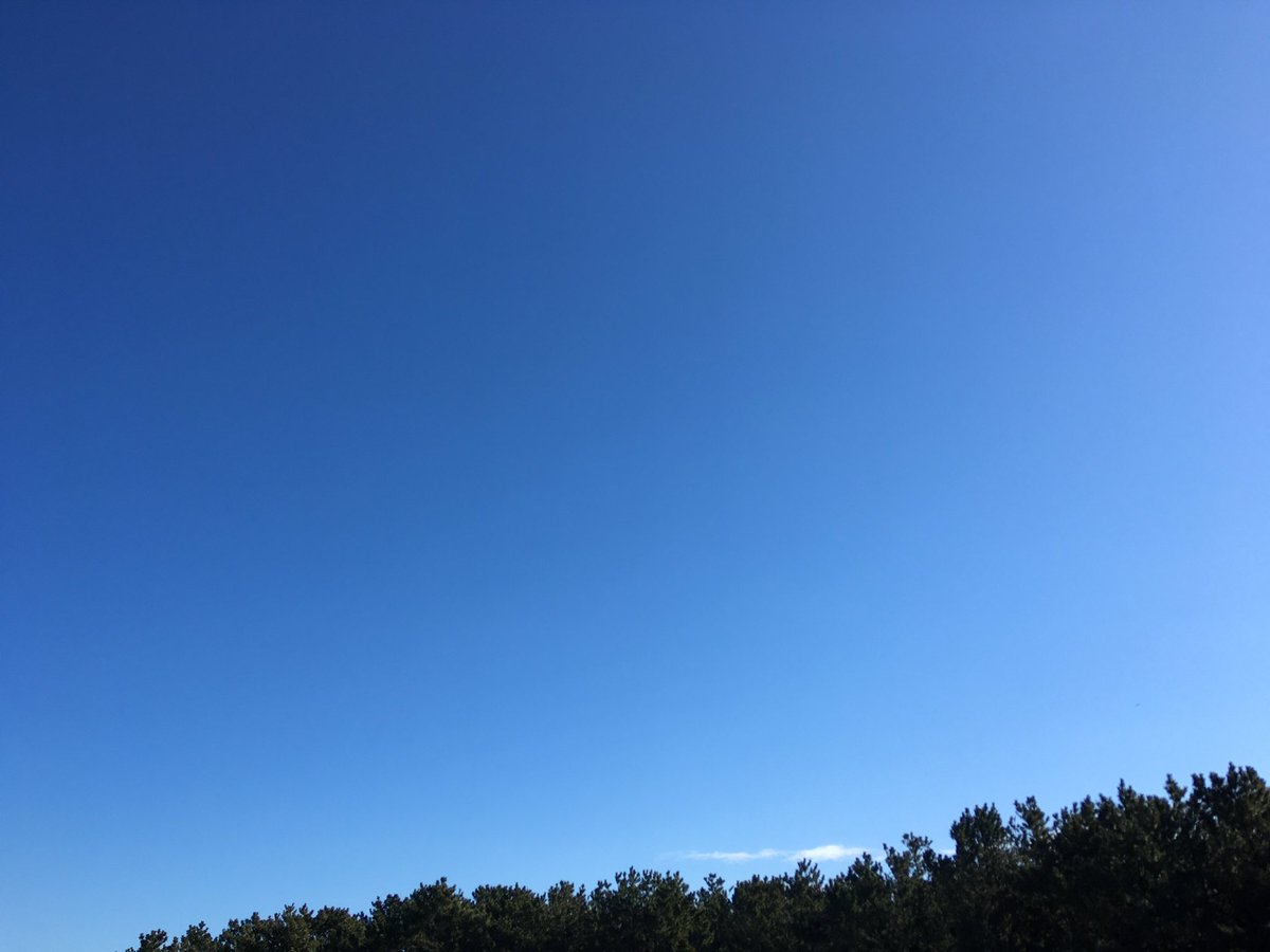 011ayako's tweet photo. カウンセリングご対応時間変更🌿
21時〜23時。
予約は随時受付ておりますが、仕事や介護の関係で返信にお時間かかることがあります。
申し訳ございませんがどうぞ宜しくお願い致します🙇‍♀️

@hanaseru https://t.co/h1ObA4StwV