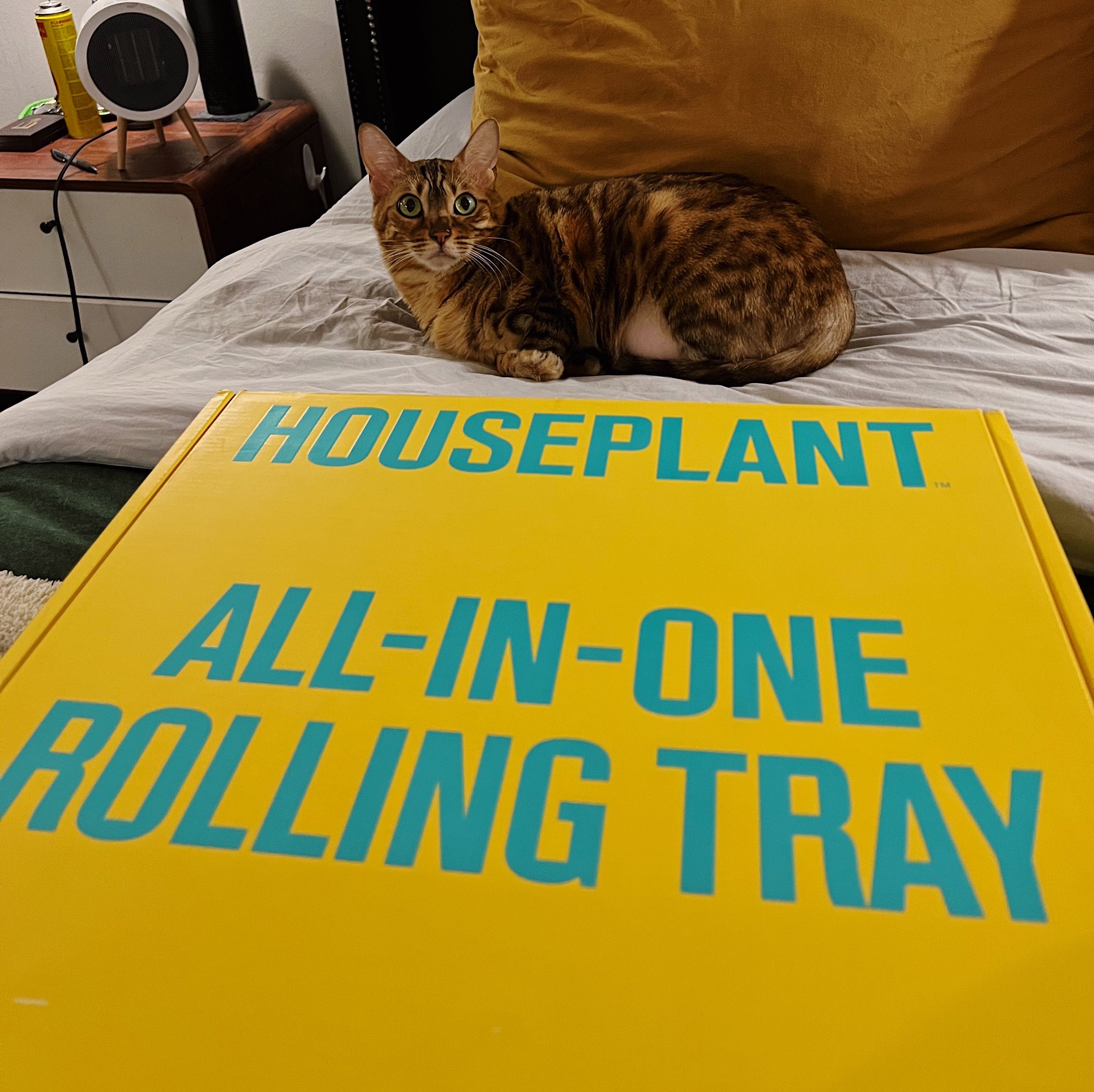 1 pic. this rolling tray is a work of art @Sethrogen https://t.co/HLTApM7Lcx