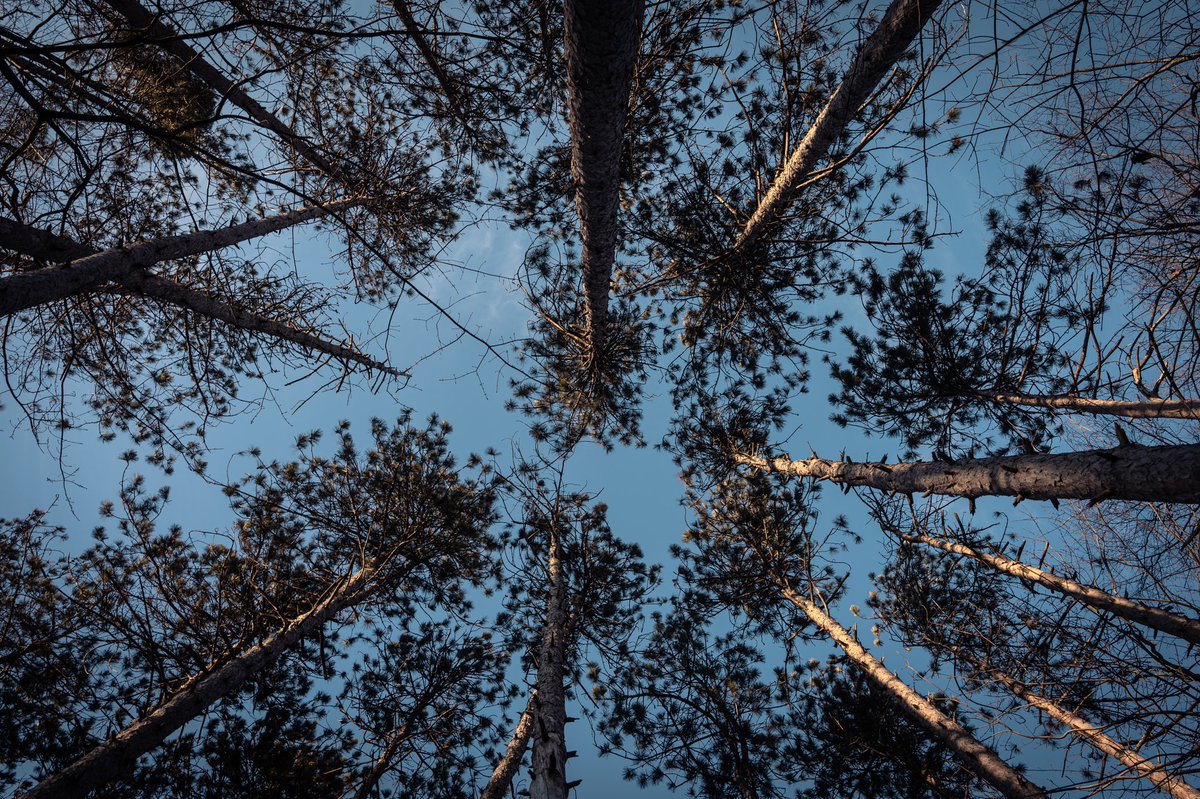 Ali Snider 📸 tweet media