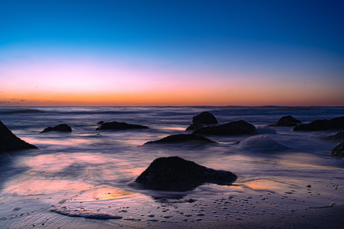 Ali Snider 📸 tweet media