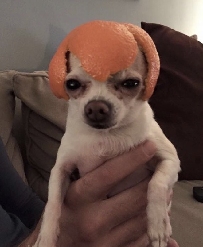 Xpllrss's tweet image. AGAIN WE MEET AGAIN JAKE @JakeWebber9 I WONT REST TILL YOI SEE THIS AGAIN