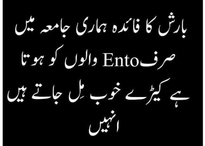 entomic_04's tweet photo. ہماری قسمت ہی ایسی ہے کہ ہمیں آج بھی 
نہیں ملنے کیڑے🤧
#Entomology #uaf @entomic_ https://t.co/4ajzSyUnAu