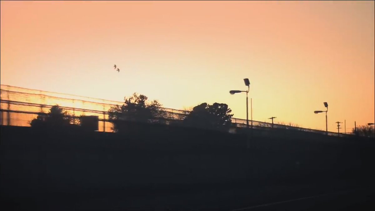 TLSPAM_Photo's tweet photo. Black Treacle (2012) - directed by Focus Creeps

Suck It And See (2011) https://t.co/Ddnyrn9cuq