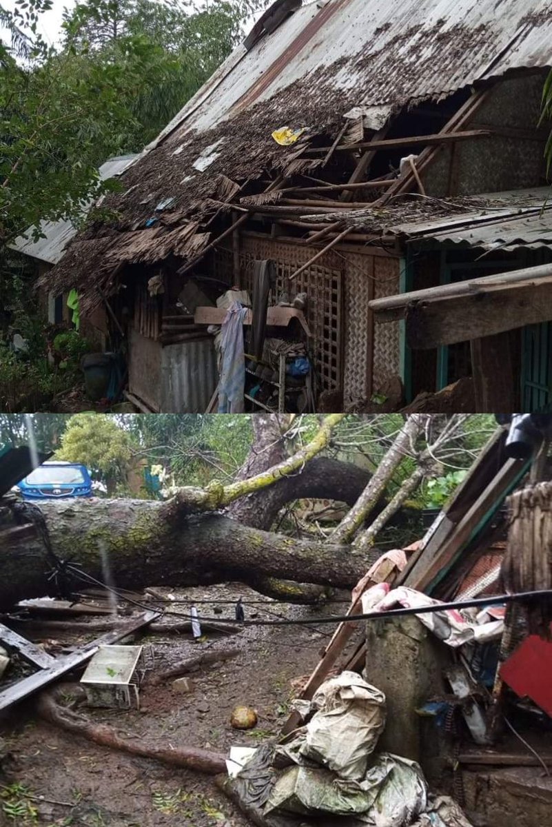 @roquemarquez12 <a href="/XRPL_XUM/">XUM Universal Money</a> @XRPL_XWM @COREUM_XUM @COREUM_XWM Due to the typhoon odette this tree has been down..until this day coz they can't afford the fee to cut it out hope that with your help we can fixed this thank you

<a href="/janiolamaria1/">Maria Jane Janiola</a> 
@hiro94835485 
@paulj_p 
<a href="/miguel_olaivar/">Mg_</a> 
<a href="/LizBonyad/">Lzbth Ü</a> 
<a href="/iLoveRABBiT/">JE♥️</a> 
<a href="/Sotto_Grace16/">Grace Sotto</a> 
<a href="/ArcegaKaye/">frances kaye arcega</a>