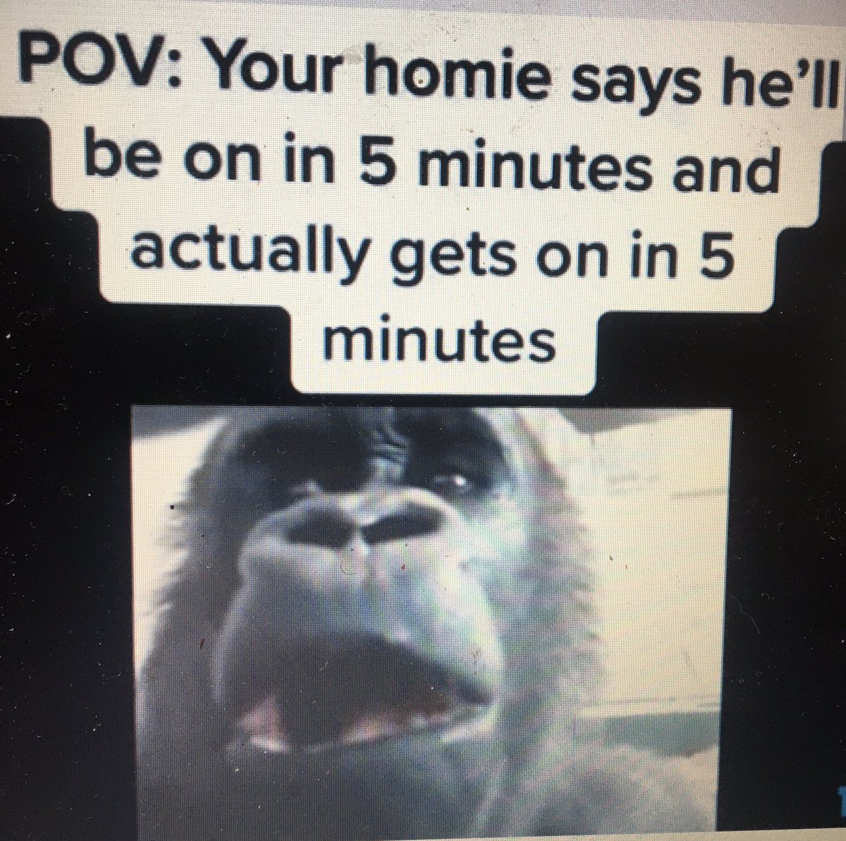 CmbaZackMiller's tweet image. Dj Tawaz 👇🏽 before evolution 😂😂