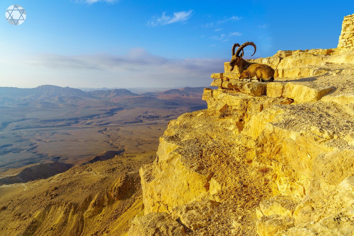hope4israel's tweet photo. Join Us In Israel!
There's still time to register!
Don't miss this incredible trip of a lifetime…
only a few spots left.
#ExperienceIsrael #love4israel #Hope4Israel
For more info please click on the link below:
https://t.co/D2T7kGC0i2 https://t.co/topKxk9mKY