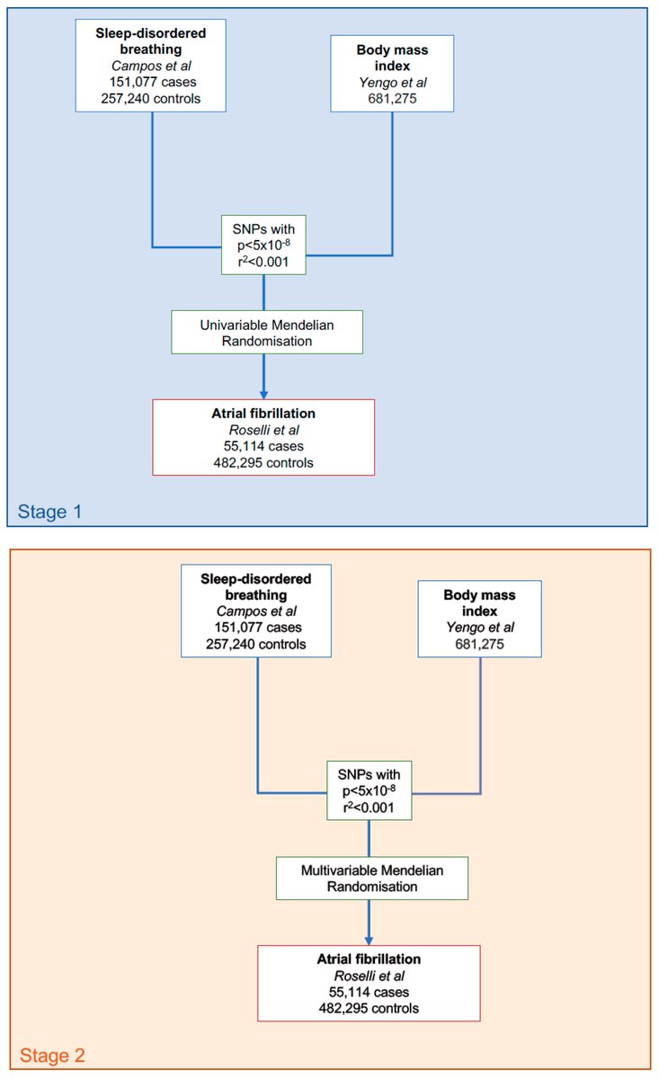Genes MDPI (@genes_mdpi) on Twitter photo Mendelian randomisation study on complex relationship between sleep disordered breathing, obesity & atrial fibrillation: mdpi.com/2073-4425/13/1…
<a href="/DrMArdissino/">Maddalena Ardissino</a> <a href="/DrKiranPatel1/">Kiran Patel</a> <a href="/davidkdryan/">davidkdryan</a> <a href="/dpsg108/">Dipender Gill</a> <a href="/DrFuSiongNg/">Fu Siong Ng</a> <a href="/ImperialNHLI/">NHLI</a> Mendelian randomisation study on complex relationship between sleep disordered breathing, obesity & atrial fibrillation: mdpi.com/2073-4425/13/1…
<a href="/DrMArdissino/">Maddalena Ardissino</a> <a href="/DrKiranPatel1/">Kiran Patel</a> <a href="/davidkdryan/">davidkdryan</a> <a href="/dpsg108/">Dipender Gill</a> <a href="/DrFuSiongNg/">Fu Siong Ng</a> <a href="/ImperialNHLI/">NHLI</a>