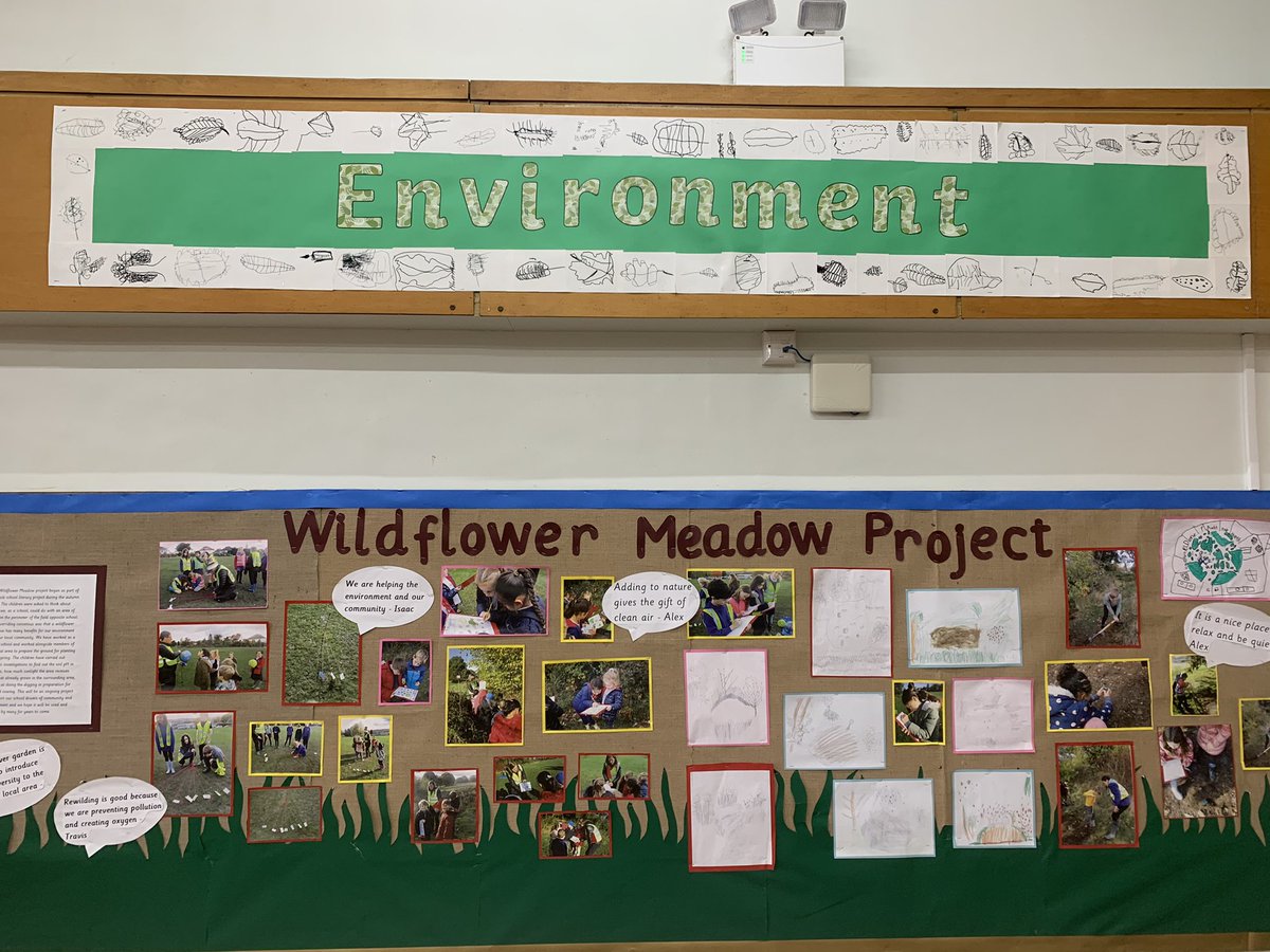 NewlaithesPS's tweet photo. Our brilliant banners created during #BigDrawDay are now up in the hall to celebrate our curriculum drivers: Democracy, Environment. Community, Diversity. These pictures don’t do them justice-they are fabulous. Thanks to all the staff involved with putting them together! https://t.co/Dr1fXHvvbz