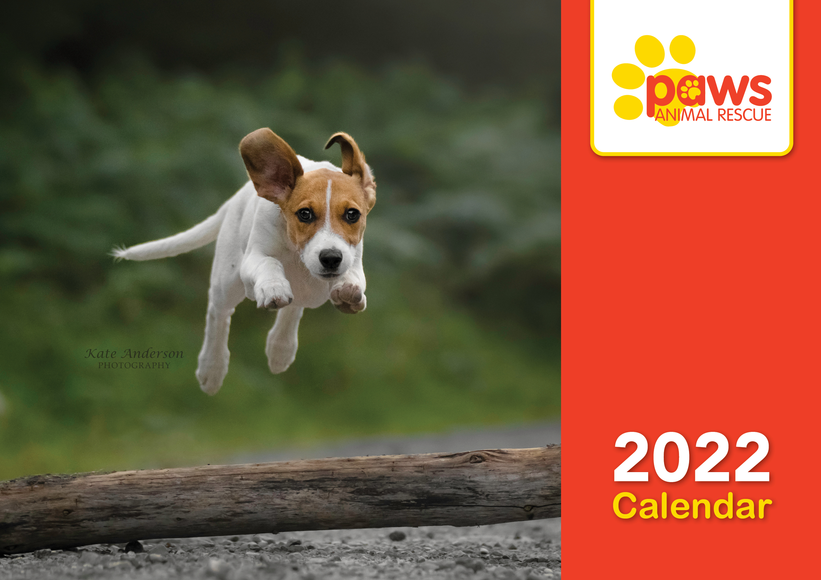 Christmas Rescue Dog Graphics 2022 Paws Animal Rescue (@Pawsireland) / Twitter