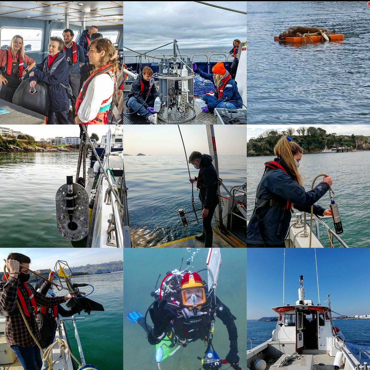 These are our top 9 pictures from 2021 on instagram. It's great to see that even with the pandemic the staff at the Marine Station have been able to keep fieldwork and diving happening safely. @PlymUni @plymunitech @MarineSciPlym @SciEngPlymUni