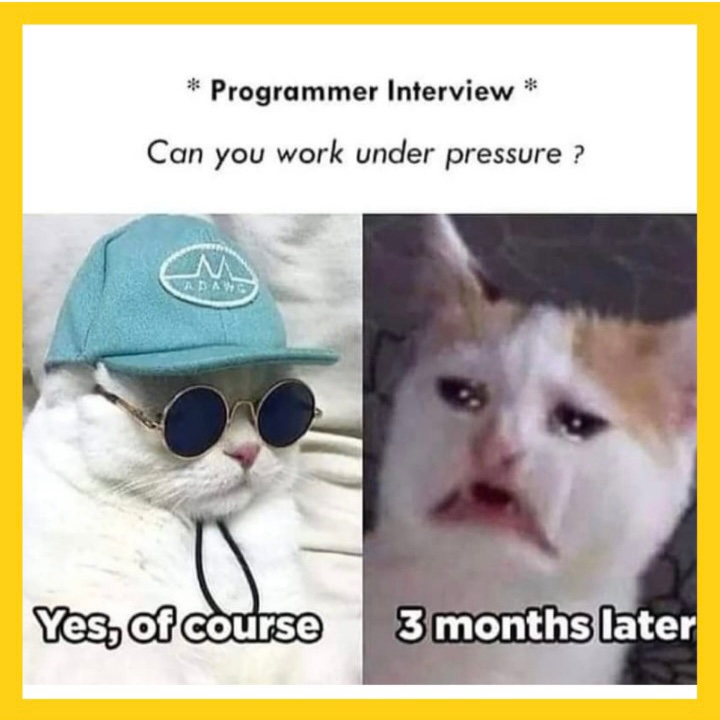 thinksageIN's tweet photo. We often overestimate ourselves! 😑
#workingunderpressure https://t.co/3tUoHc4Ej7