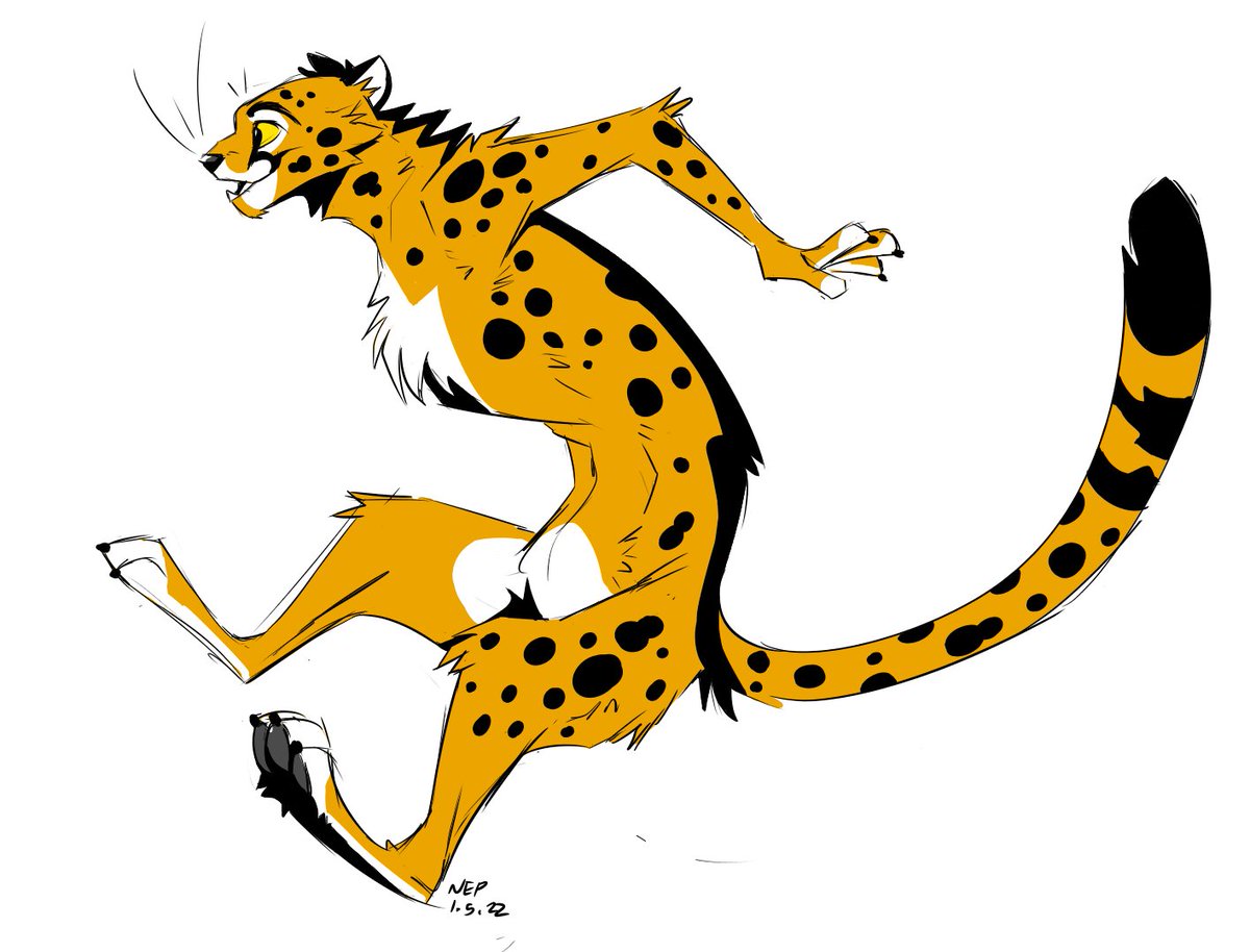 RedDogThing12's tweet photo. Of course in the Year of the Tiger, I decided to draw a cheetah. I'm a rebel. 

Exploration drawing for @SchultzHusky and an excuse to flat color something. A proper ref is coming soon! https://t.co/ijXysV3J0e