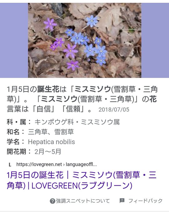 ミスミソウのtwitterイラスト検索結果