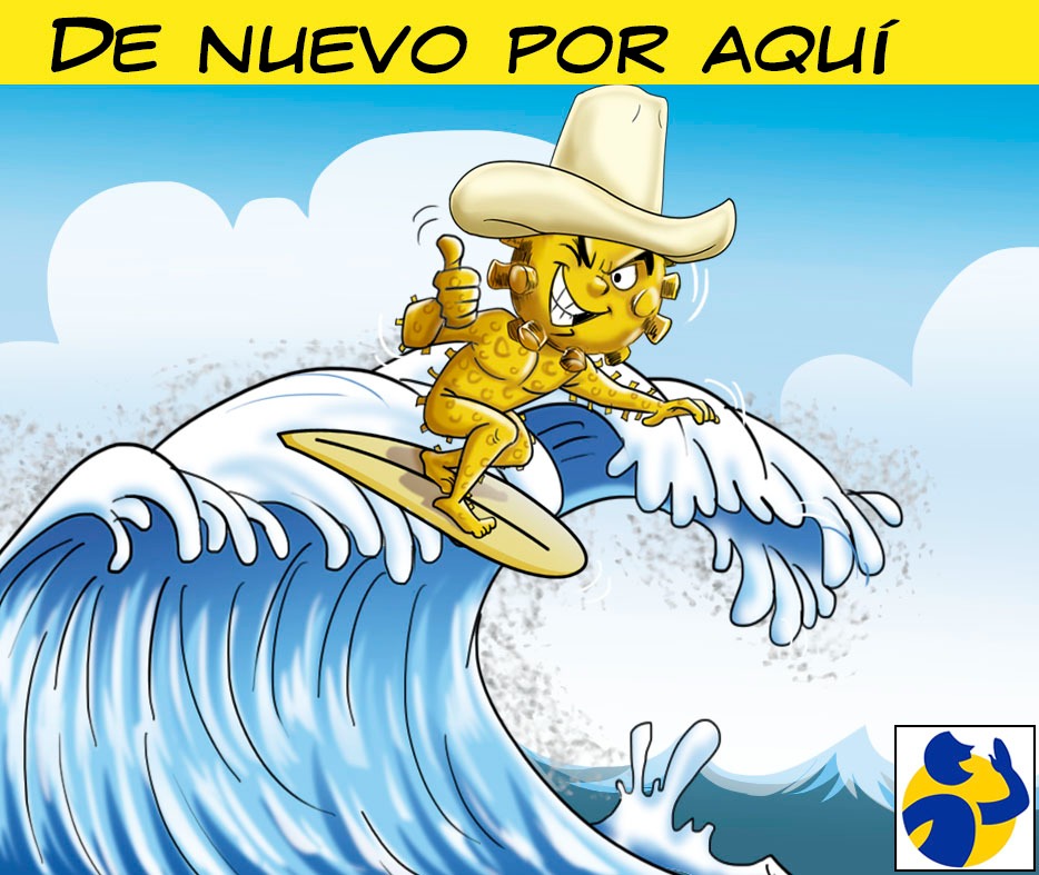 elmontonero_pe's tweet photo. #CaricaturaEM #ElMontonero
#TerceraOla #Coronavirus #MINSA #Rebrotes #Omicron
Para más #Editoriales | #ColumnasdeOpinión
#Caricaturas | #Entrevistas
Síguenos en:
FB: https://t.co/8BN6IGtfbu
Youtube: https://t.co/x2WH9Dyq6f
Más Artículos: https://t.co/4sbQL43f0Q https://t.co/U9uK9aq5fH